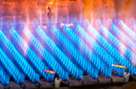Edburton gas fired boilers